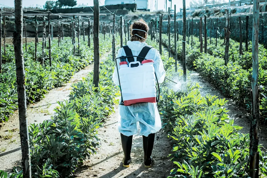 Farm worker in full protective equipment applying insecticide with a backpack sprayer along crop rows, demonstrating responsible crop protection stewardship